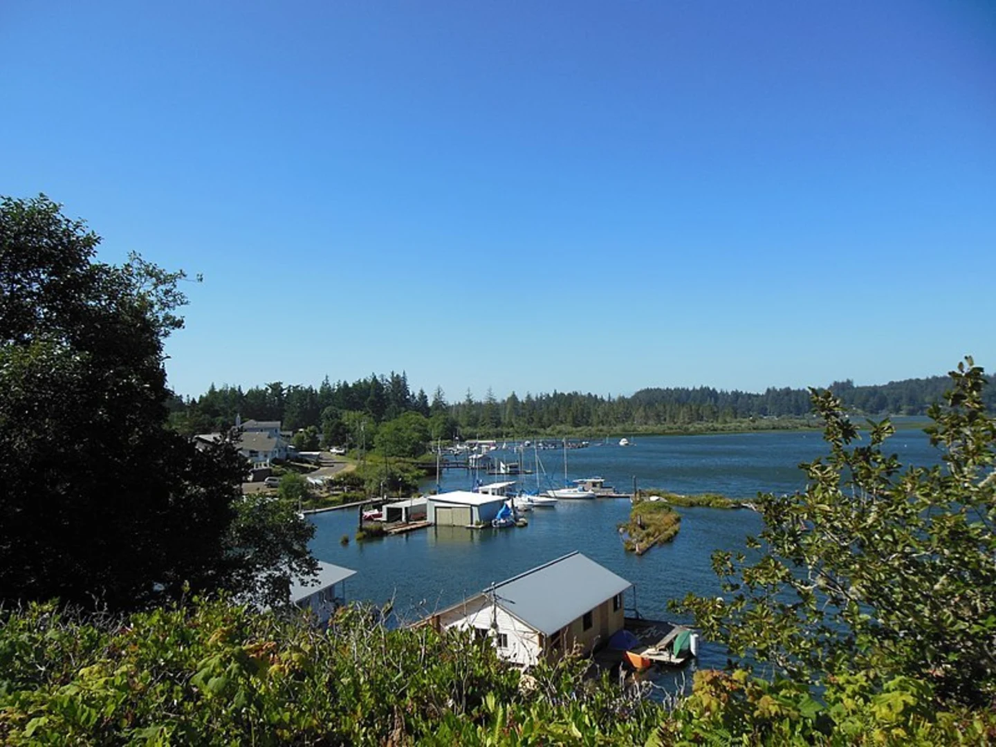 An image depicting the trail Siltcoos Lake Trail and its surrounding area.