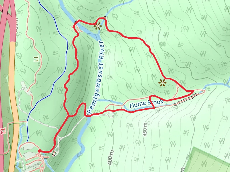 Pemigewasset River and Flume Brook Loop