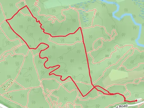 White and Orange-White Loop Trail