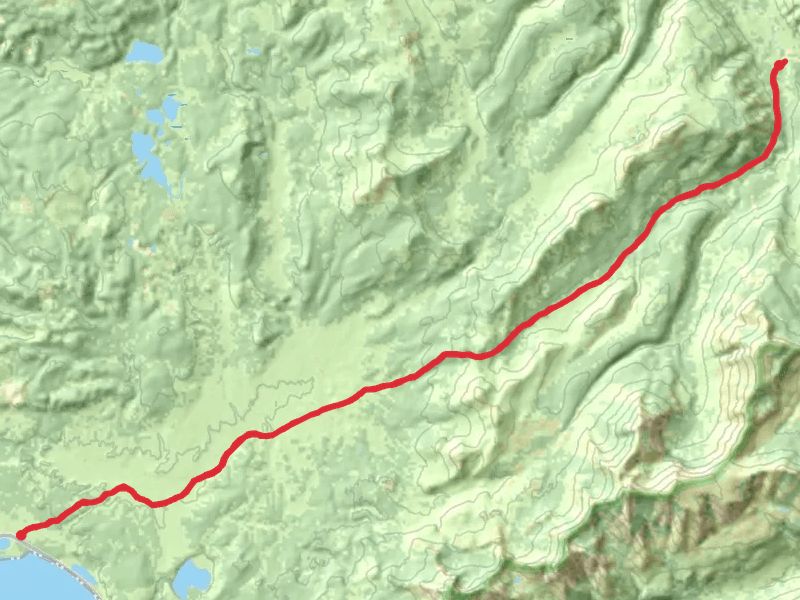 Mist Creek Trail via Pelican Valley Trail