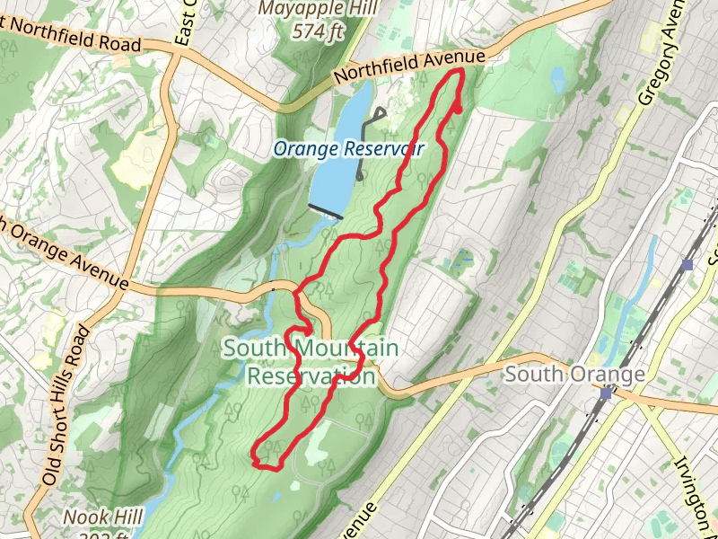 Longwood Trail and Turtle Back Loop Trail