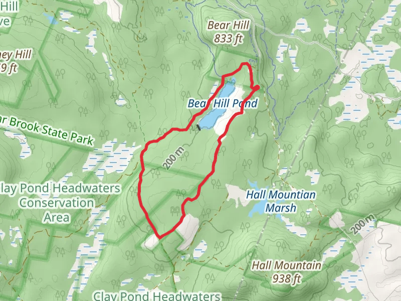Bear Hill Pond Loop Trail