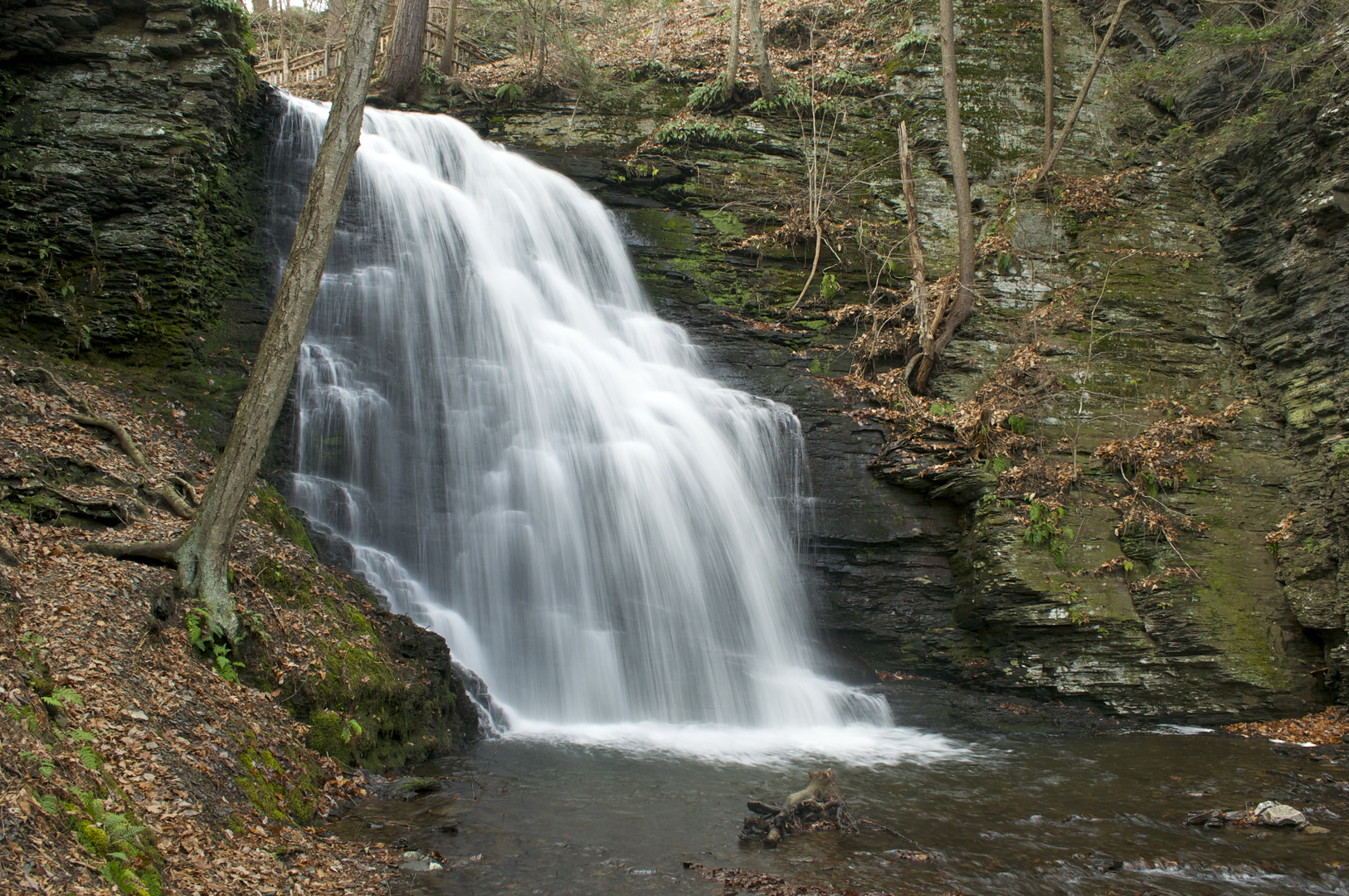 An image depicting the trail Pond Run Creek Loop and its surrounding area.