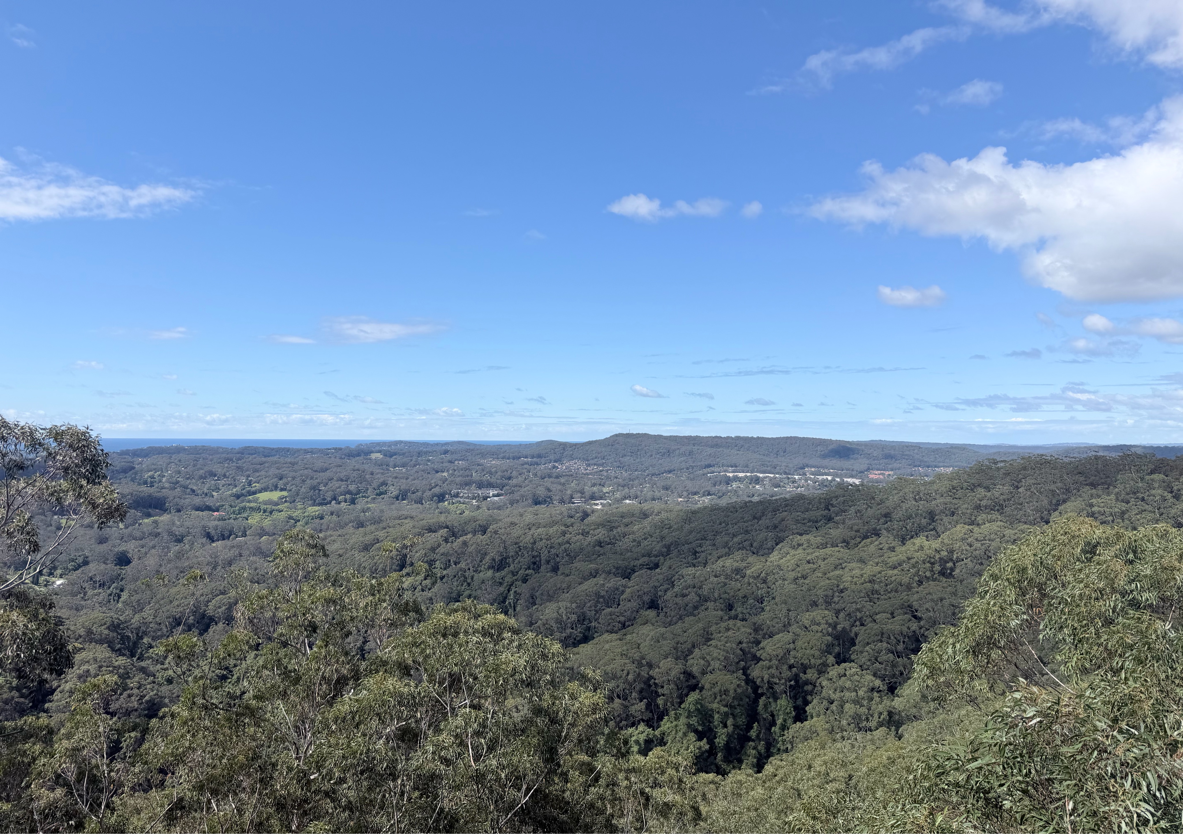 A map preview of the recording Toomeys Track Katrandra Reserve NSW Australia.