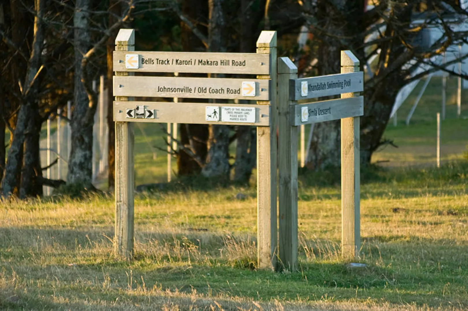 An image depicting the trail Skyline Track - Makara Road to Johnsonville and its surrounding area.