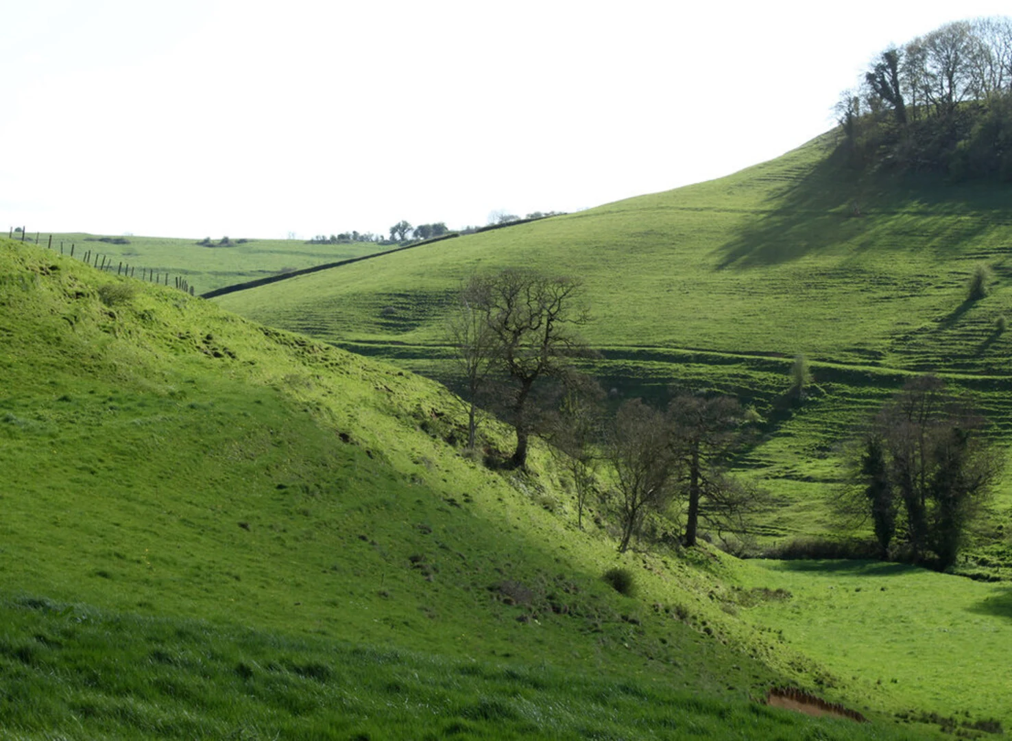 Winfrith Newburgh Loop | Dorset | England