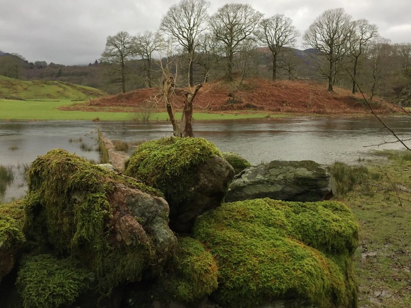 An image depicting the trail Elterwater to Skelwith Bridge Loop and its surrounding area.