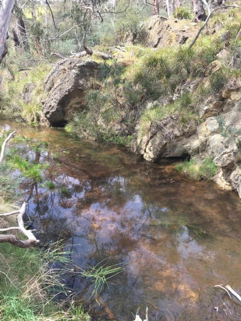 An image depicting the trail Mount Buangor Walk and its surrounding area.