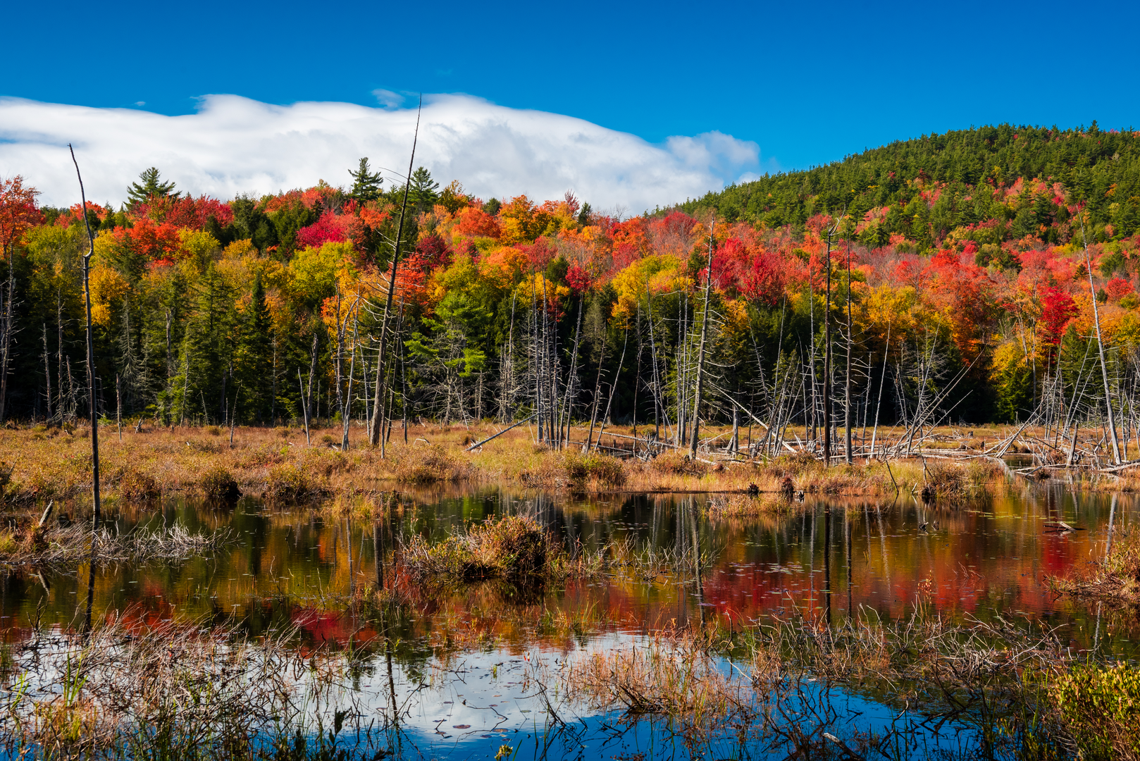 An image depicting the trail Mud Pond Trail via Russell Brook Road and its surrounding area.