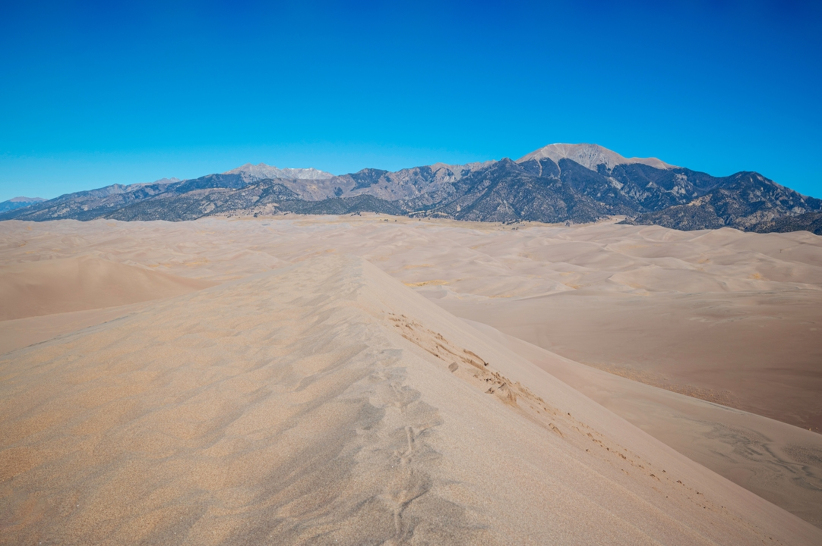 An image depicting the trail Dunes Parking Lot to Pine Creek Campground Trail and its surrounding area.