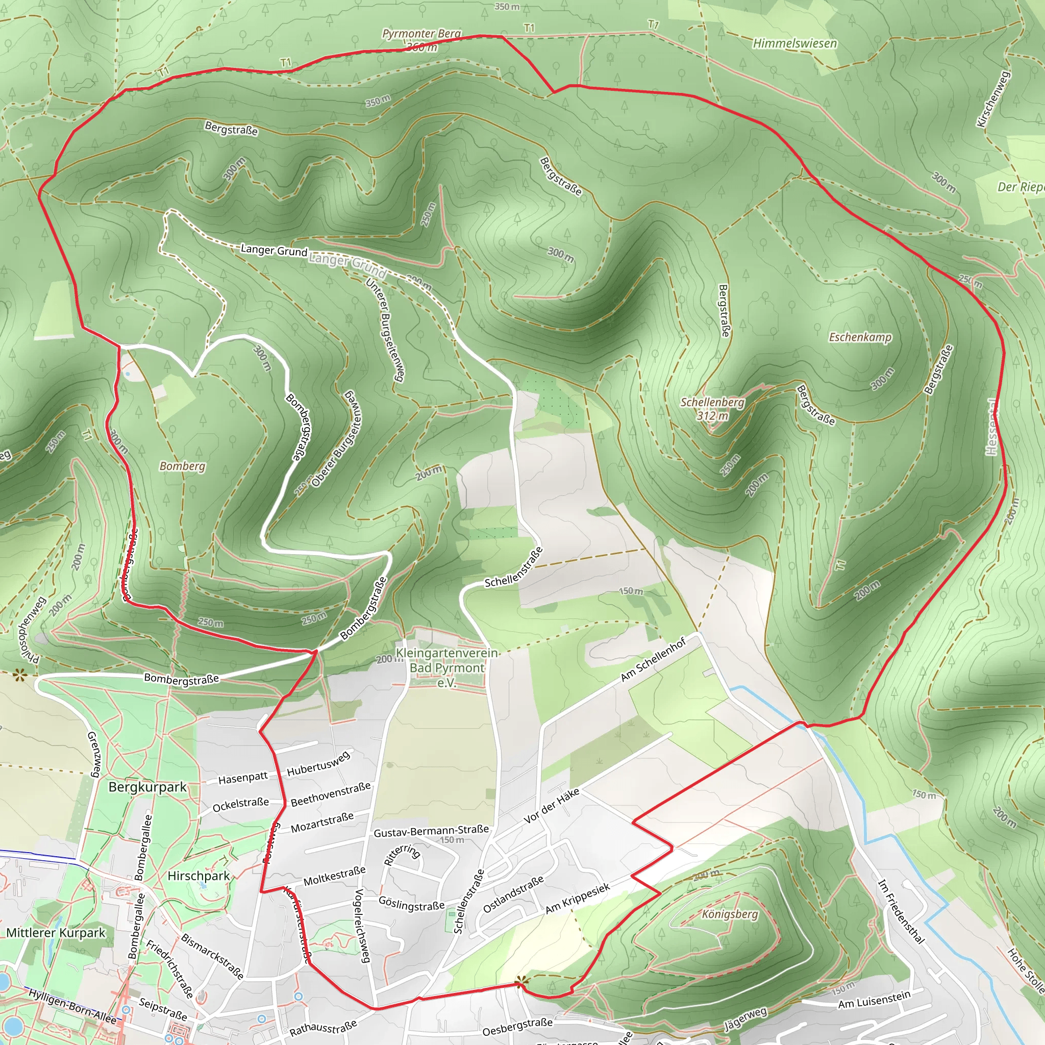 Pyrmonter Berg Loop mobile static map