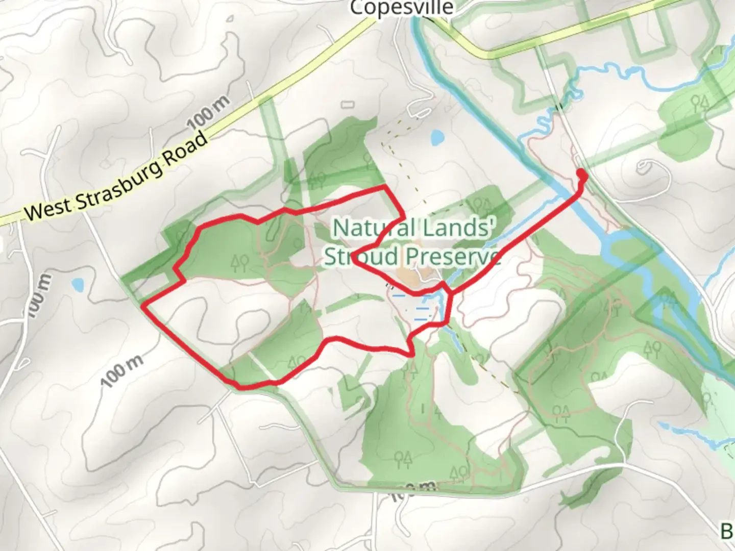 An image depicting the trail Red and Yellow Loop Trail from Copesville and its surrounding area.