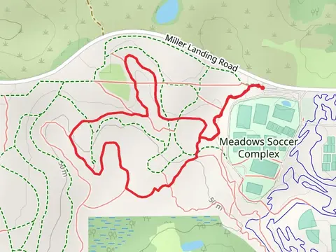 Swamp Forest Loop