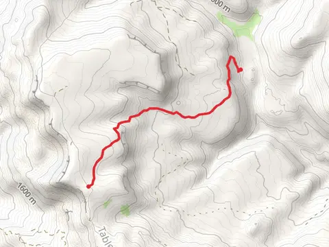 Naneum Meadows Trail