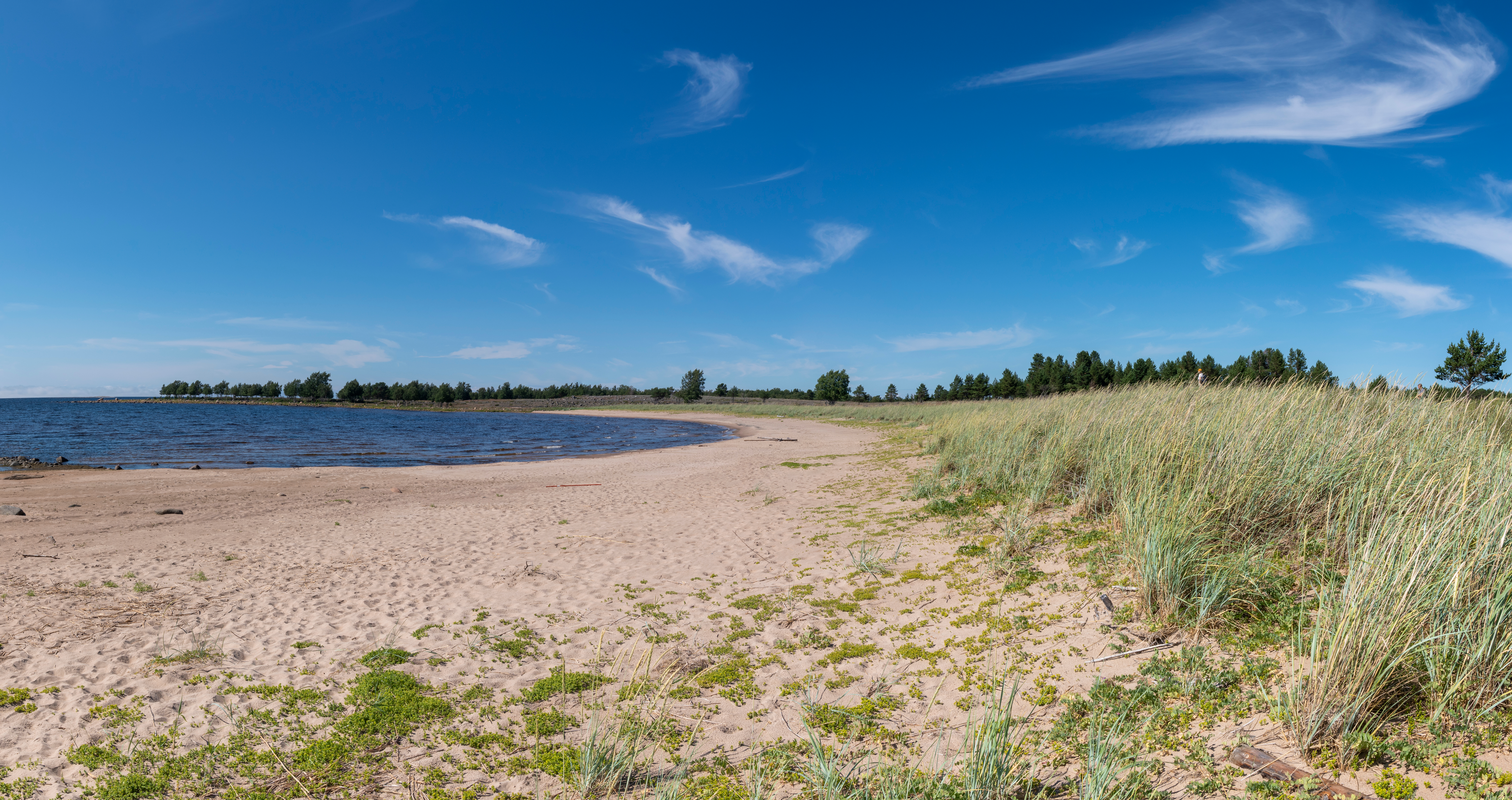 An image depicting the trail Haparanda Archipelago National Park and its surrounding area.