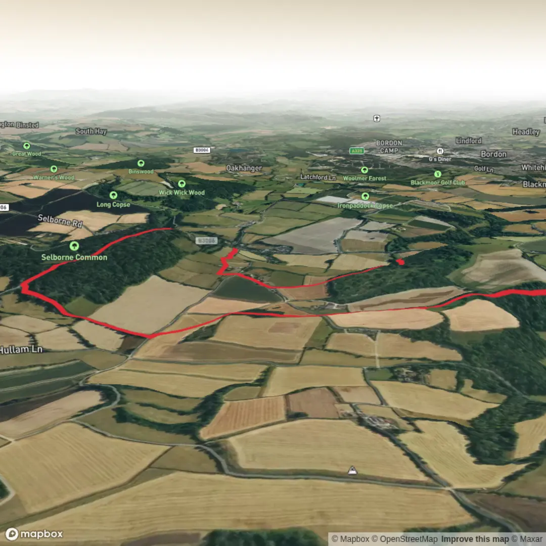 An image depicting the trail Selborne Hill, Noar Hill and High Wood Hanger Loop and its surrounding area.