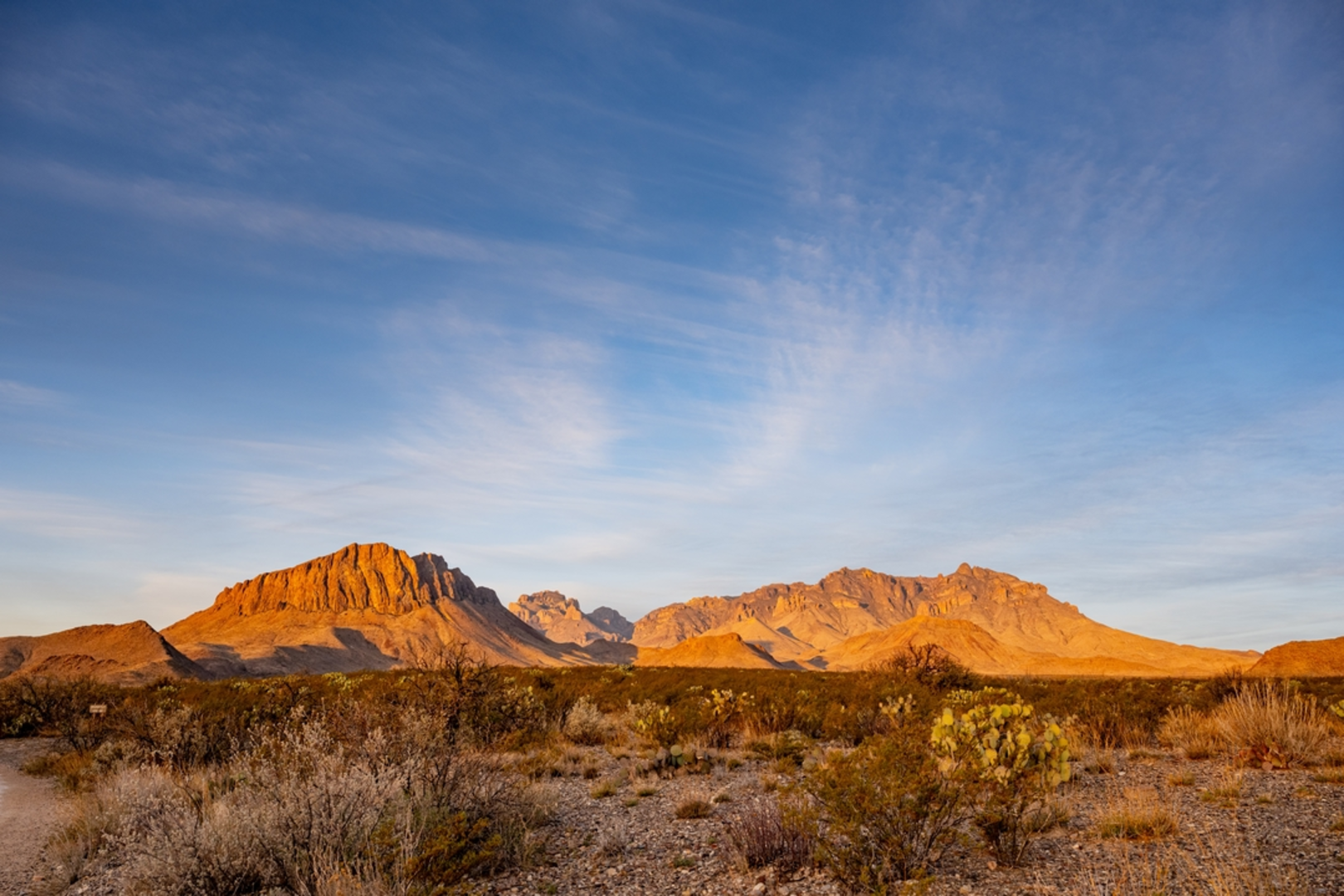 An image depicting the trail Chisos Basin Loop Trail and its surrounding area.