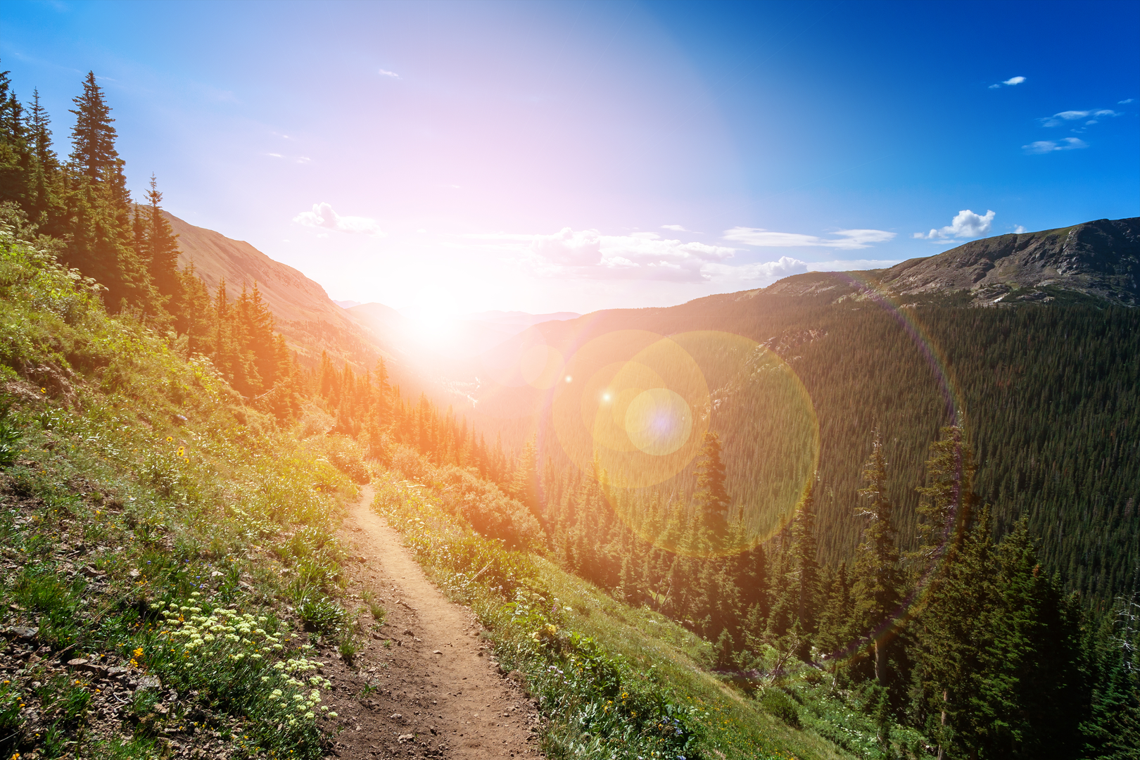 An image depicting the trail Colorado Trail and its surrounding area.