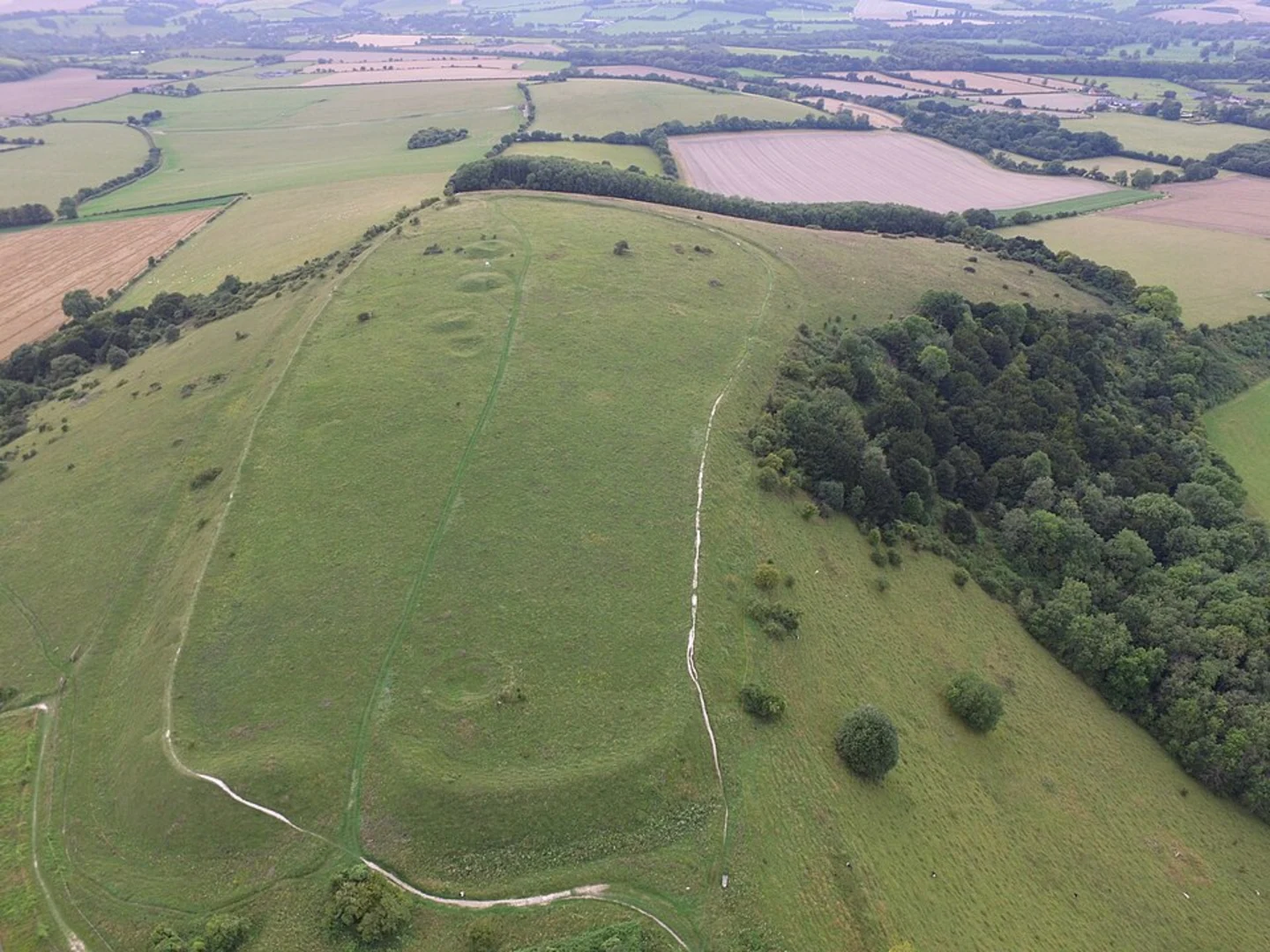 An image depicting the trail Old Winchester Hill Iron Age Fort Loop from Meonstoke and its surrounding area.