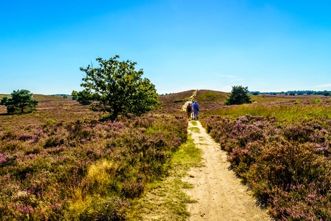 Berkenhorst and Elspeeterveld via Schaar Weg