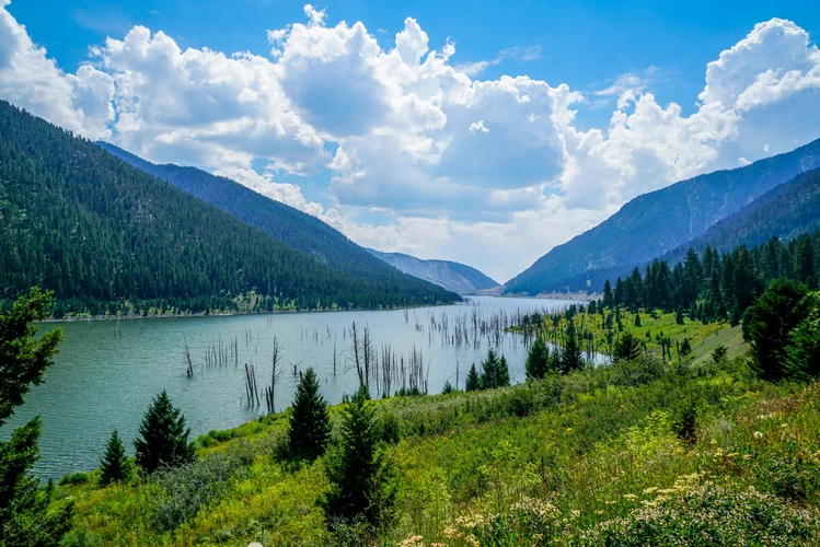 Sheep Lake Trail