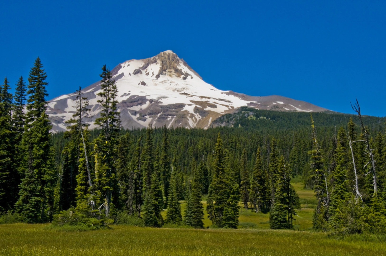 An image depicting the trail Elk Meadows Perimeter Trail via Elk Meadows Trail and its surrounding area.