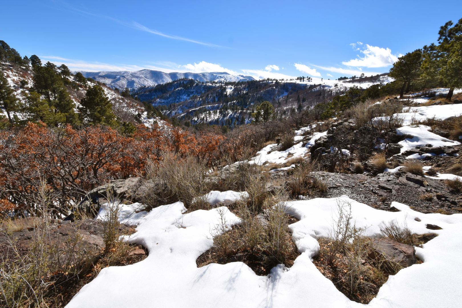 An image depicting the trail Capitan Peak Loop and its surrounding area.