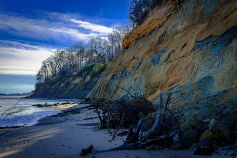 Calvert Cliffs via Blue Trail and Orange Trail