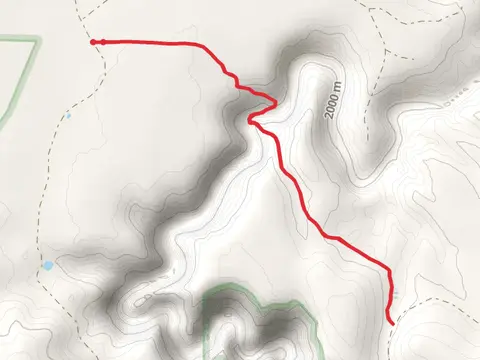 Willow Crossing Trail
