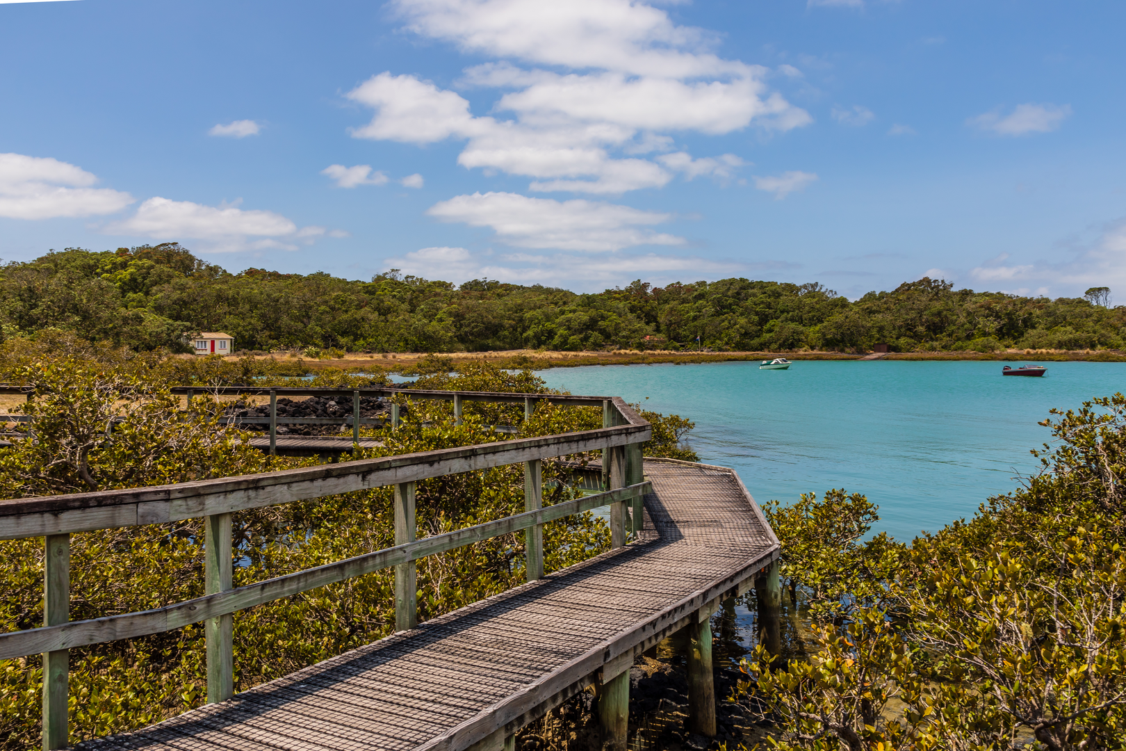 An image depicting the trail Rangitoto Island - Flax Point and Historic Baches and its surrounding area.
