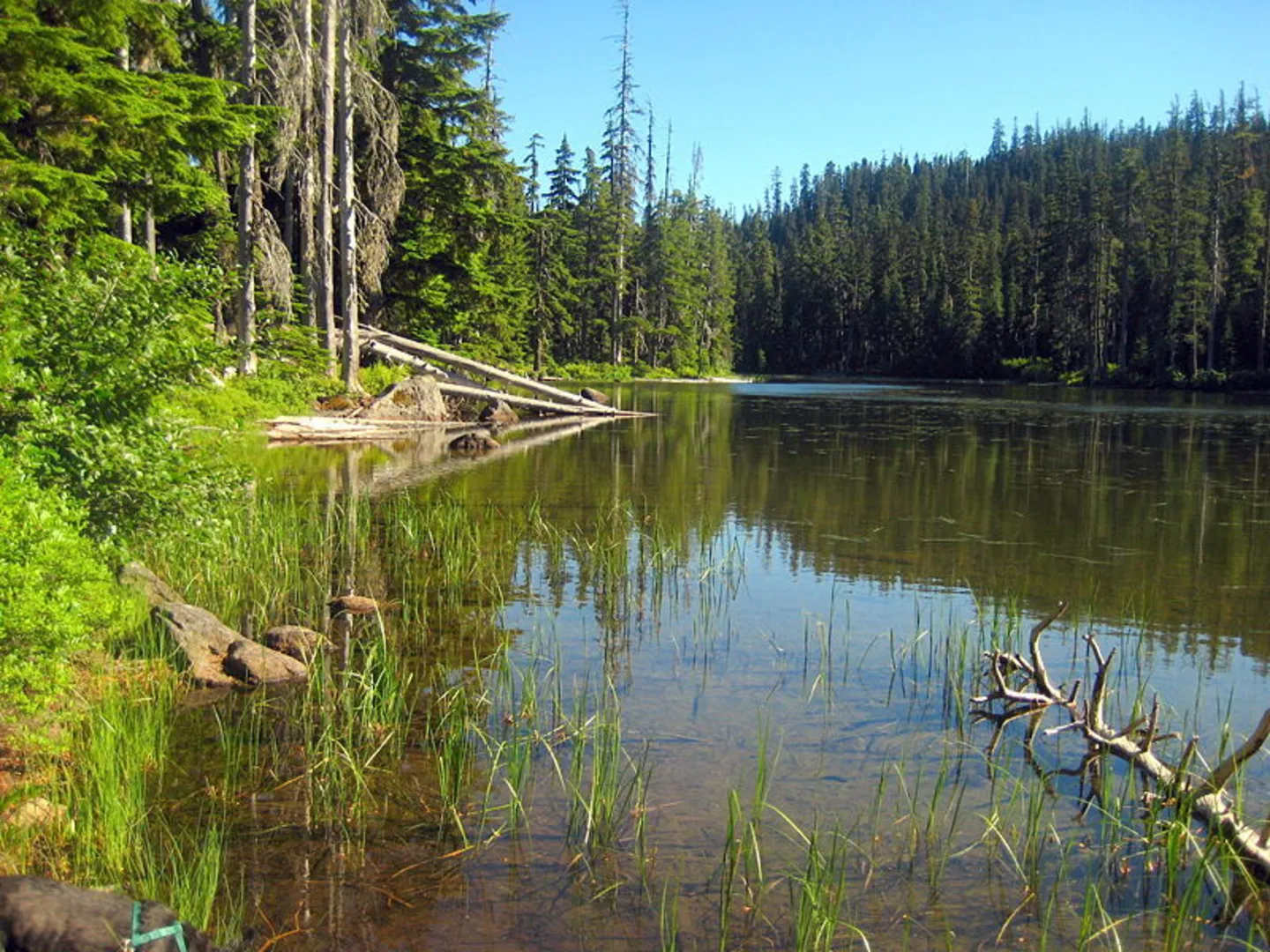 An image depicting the trail Little Boulder Trail and its surrounding area.