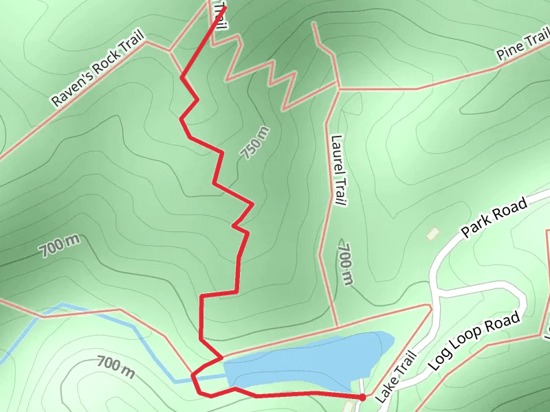 Ivy Trail