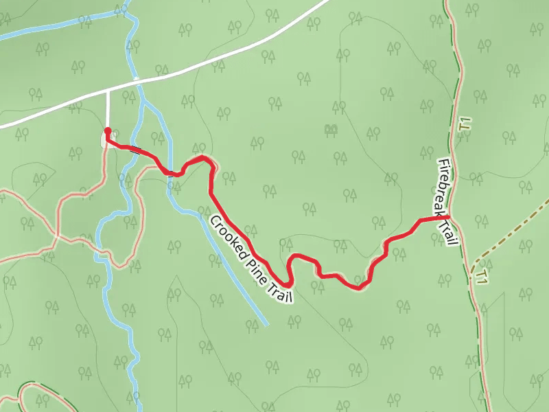 Crooked Pine Trail
