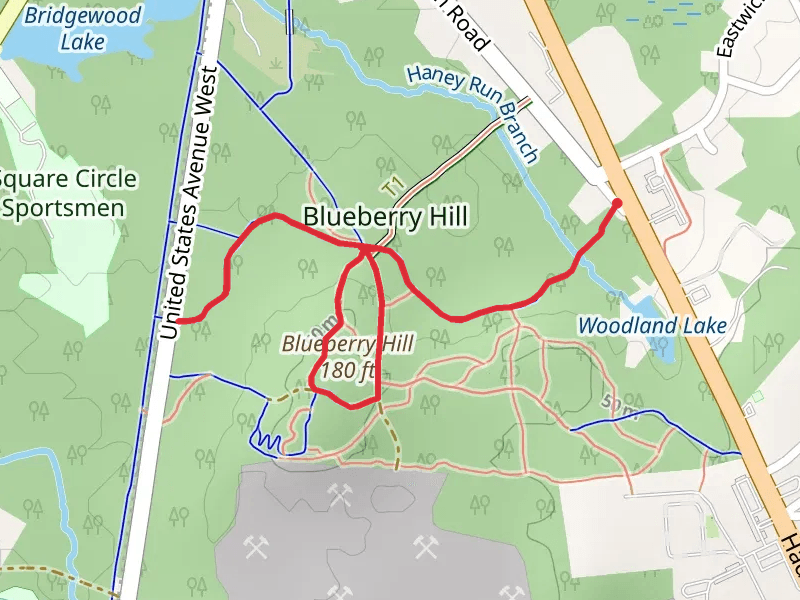 Blueberry Hill and Red Loop Trail