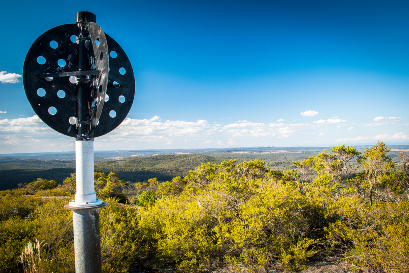 An image depicting the trail Bald Rock Summit Track and its surrounding area.