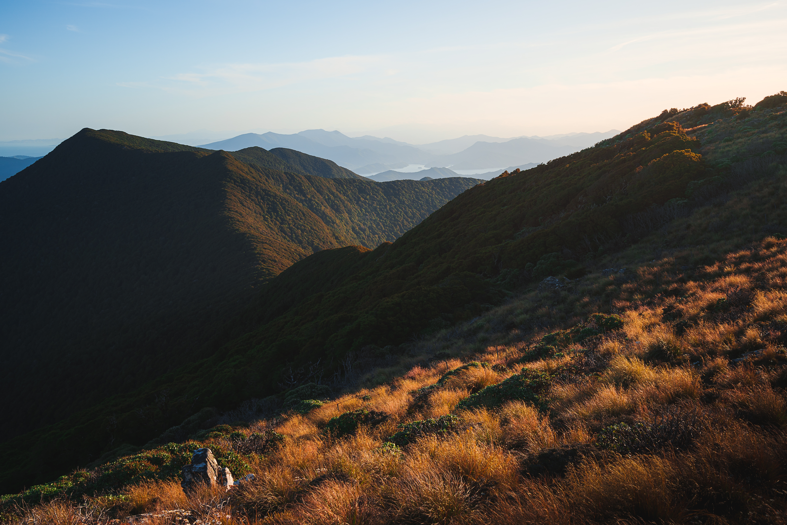 An image depicting the trail Mount Stokes Track and its surrounding area.