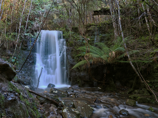 O’Gradys Falls Track