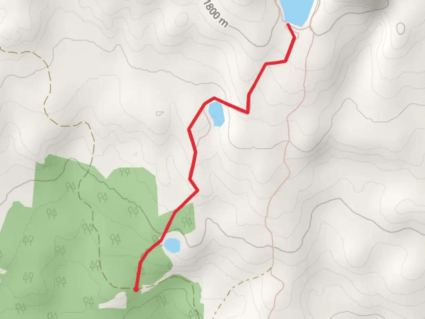 An image depicting the trail Calamut Lake Trail and its surrounding area.
