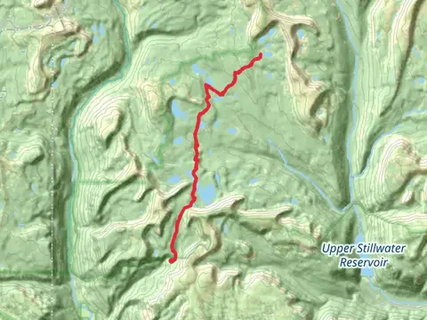 Daynes Lake via Hades-Rocky Sea Pass Trail
