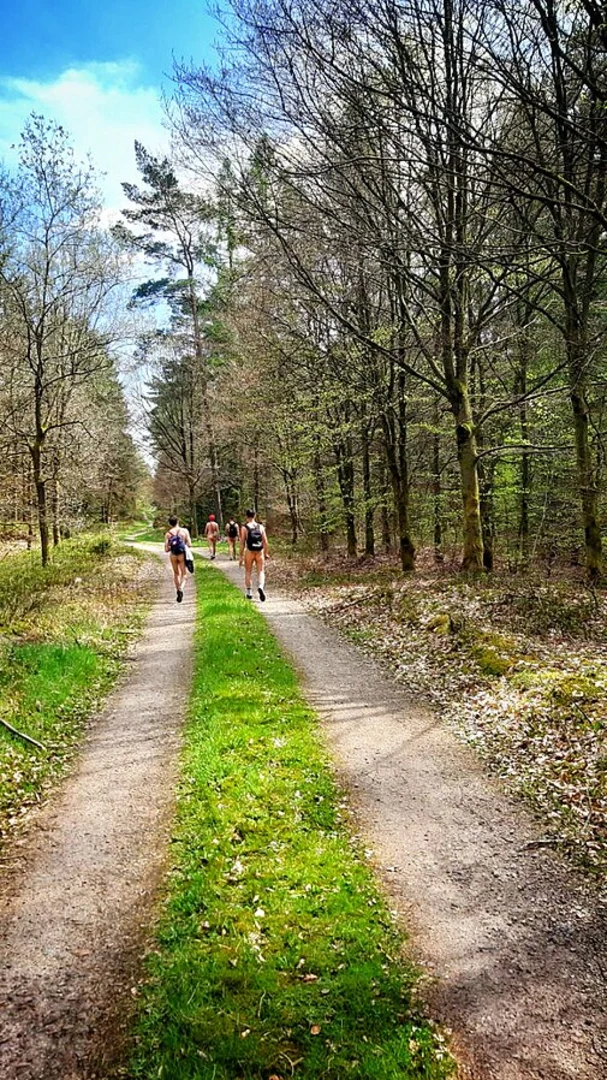 An image depicting the trail Einemer Sand Short Loop via Naturistenweg Undeloh and its surrounding area.