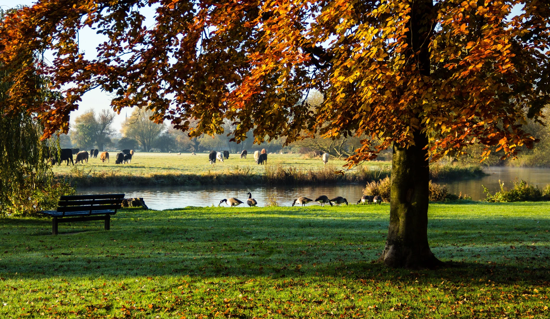 An image depicting the trail Huntingdon and Godmanchester Walk - Houghton Mill - Cambridgeshire and its surrounding area.