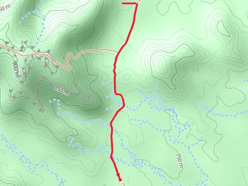 Trail D - Canyon Loop Trail