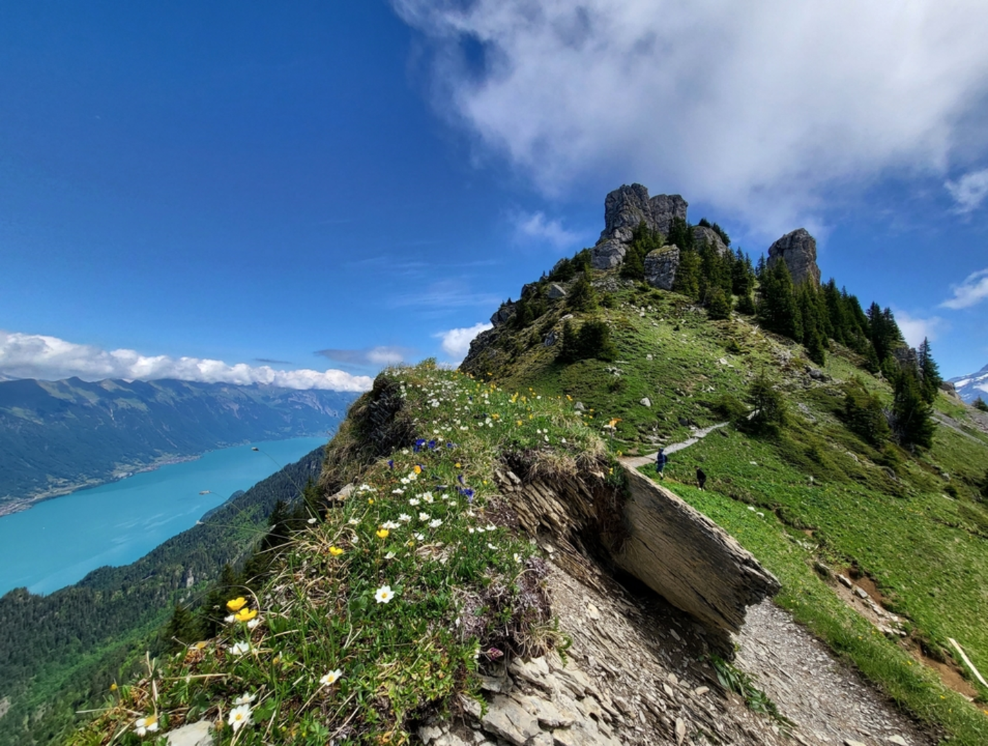 An image depicting the trail Schynige-Platte-Rundweg - Top Sicht auf das Dreigestirn and its surrounding area.