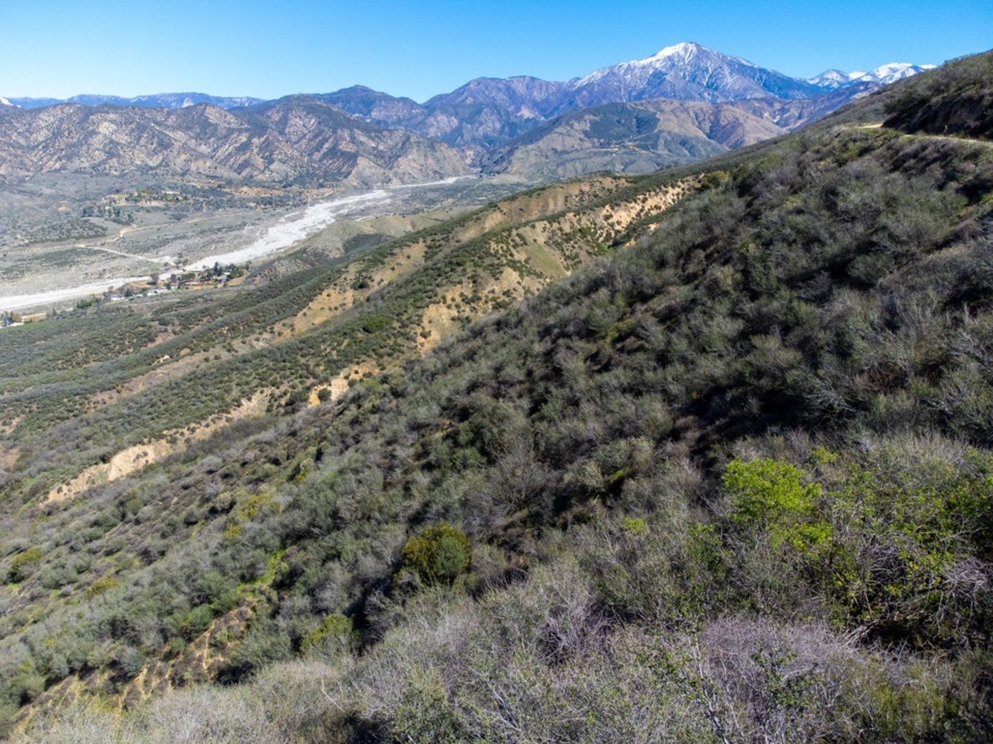 An image depicting the trail San Gabriel Peak via Eaton Saddle and its surrounding area.