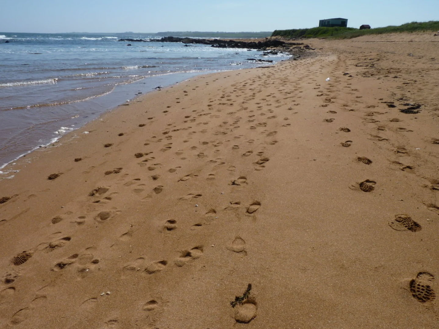 An image depicting the trail Crail to St Andrews via Fife Coastal Path and its surrounding area.