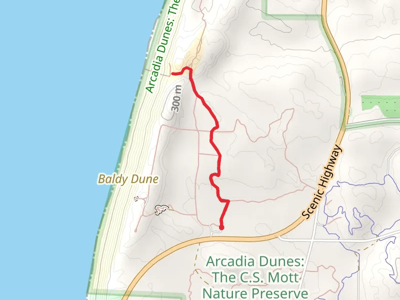 Arcadia Dunes - The C S Mott Nature Preserve