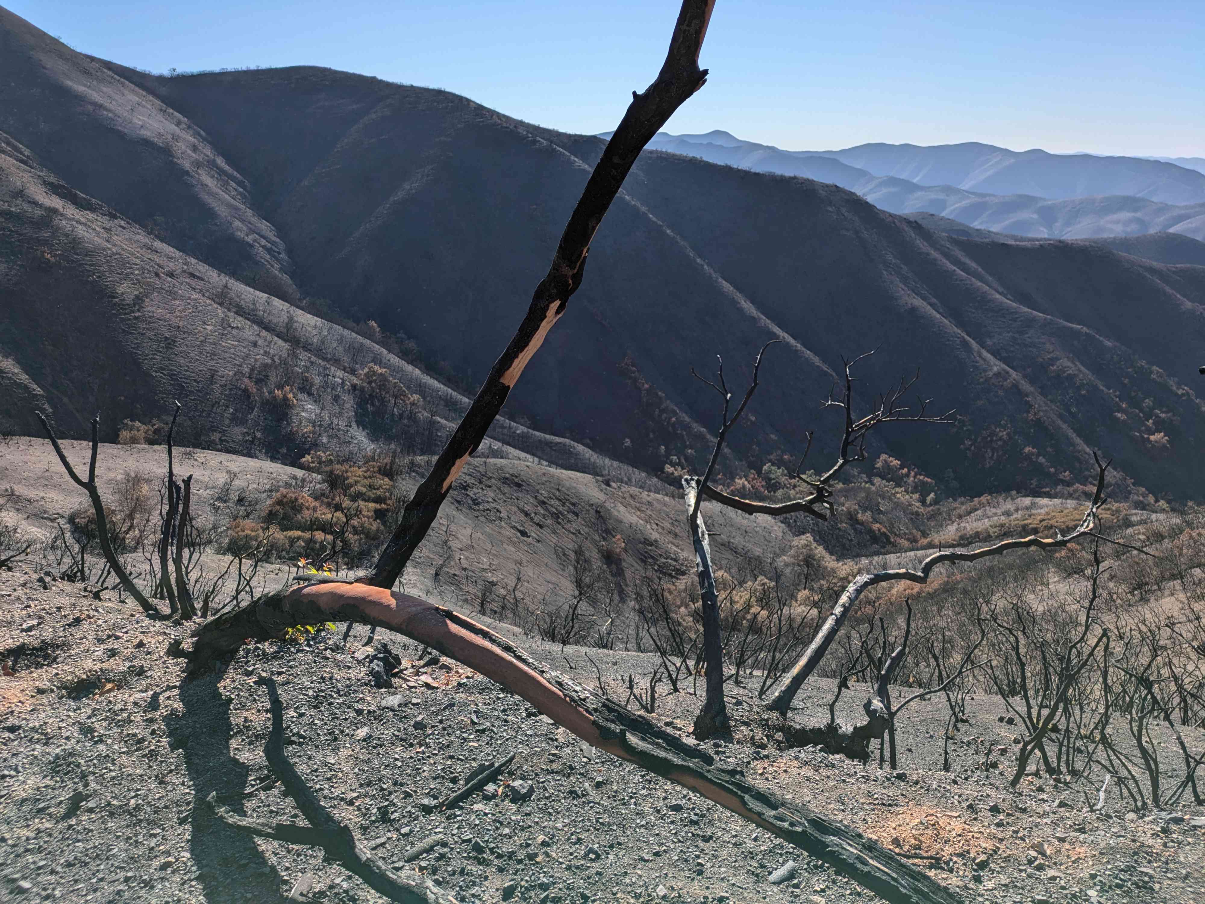 A map preview of the recording Vulture Crags and Santiago Truck Trail.