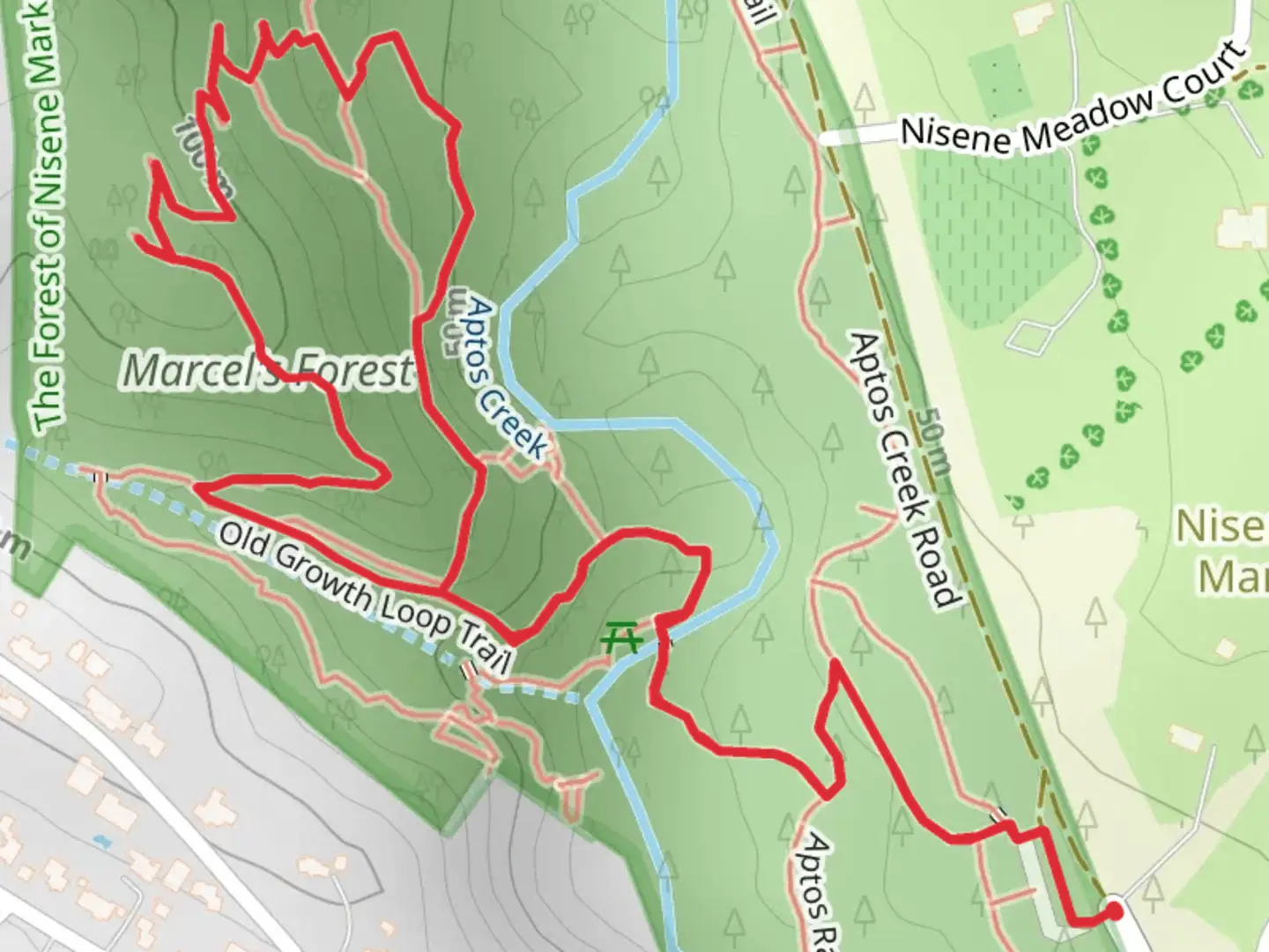 An image depicting the trail Marcel's Forest Loop via Oak Ridge Trail and its surrounding area.