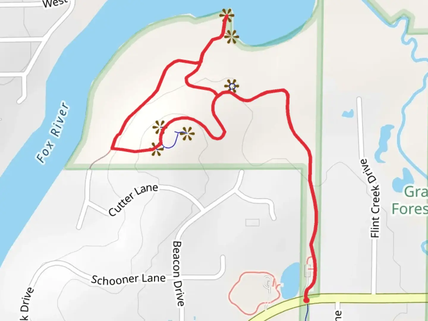 An image depicting the trail Grassy Lake Forest Preserve Loop and its surrounding area.