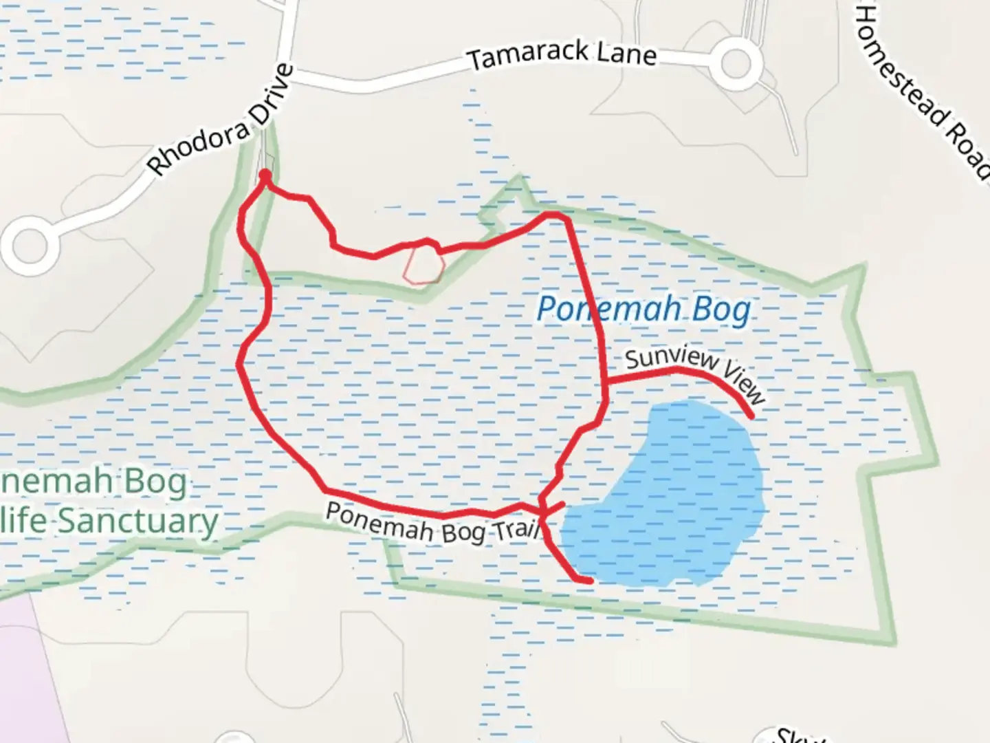 An image depicting the trail Sunview View Loop via Ponemah Bog Trail and its surrounding area.